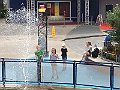IMG_3071