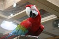 IMG_0981