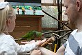 IMG_0991
