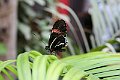 IMG_1005