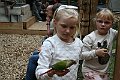 IMG_1029