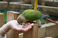 IMG_1037