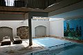IMG_1091