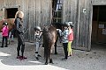 IMG_1141