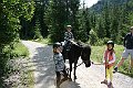 IMG_1206