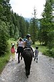 IMG_1235