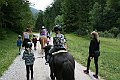 IMG_1243