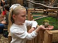 IMG_3388
