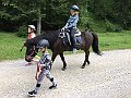 IMG_3536