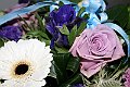IMG_2075