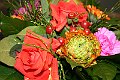 IMG_2084