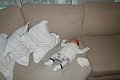 IMG_2107