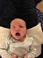 IMG_6901