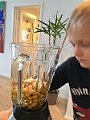 IMG_7074