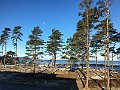 IMG_7775