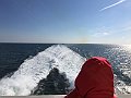 IMG_8563