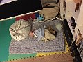 IMG_8271