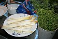 IMG_2655
