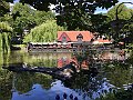 IMG_0532