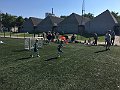 IMG_9610