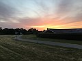 IMG_9687