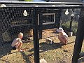 IMG_2959
