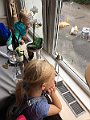 IMG_0952