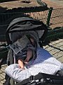 IMG_0999