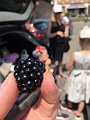 IMG_1933