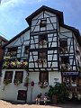 IMG_1938