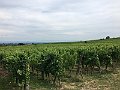 IMG_1966