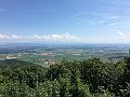 IMG_2061
