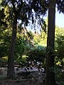 IMG_2454