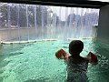IMG_2566