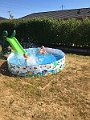 IMG_0801