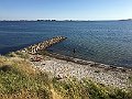 IMG_3460