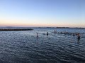 IMG_3487