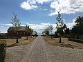 IMG_3529
