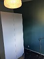 IMG_4217