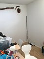 IMG_2820