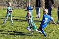 IMG_4604