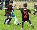 IMG_4627