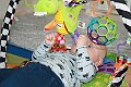 IMG_2884