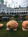 IMG_5163