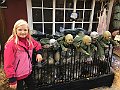 IMG_5164