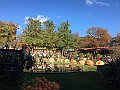 IMG_5183