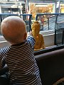 IMG_5202