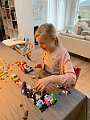 IMG_1550