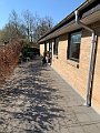 IMG_2610