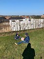 IMG_2618